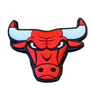 Chicago Bulls NBA Team Croc Charm